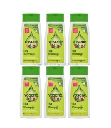 Picture of Vosene Kids 3 in 1 Shampoo 250ml - Pack of 6