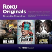 Picture of Roku SE HD High Definition Streaming Media Player