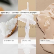 Picture of SkinSense  Recovery Support Night Cream 50ml